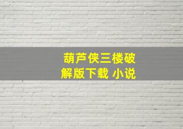 葫芦侠三楼破解版下载 小说